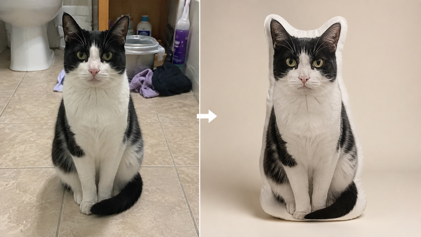 Voor en na: foto van een kat wordt een kussen op maat